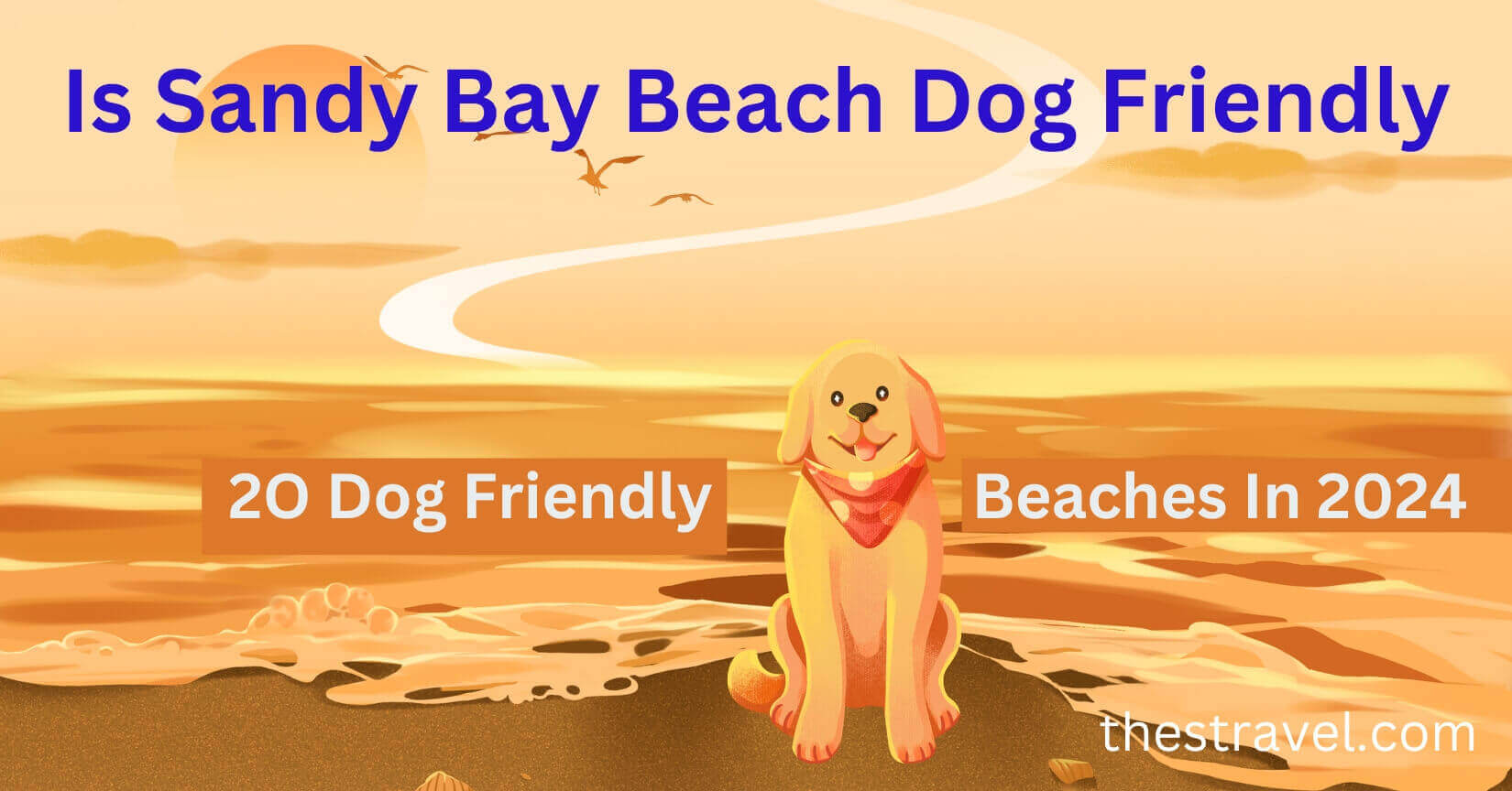 is sandy bay beach dog friendly
